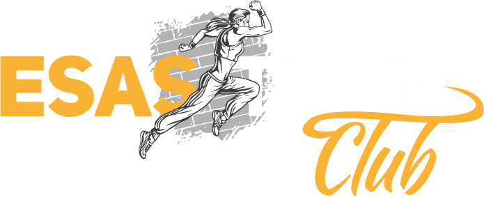 esas team logo